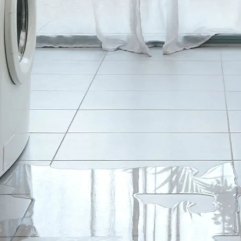 Appliance Leak Cleanup in Zeeland, MI