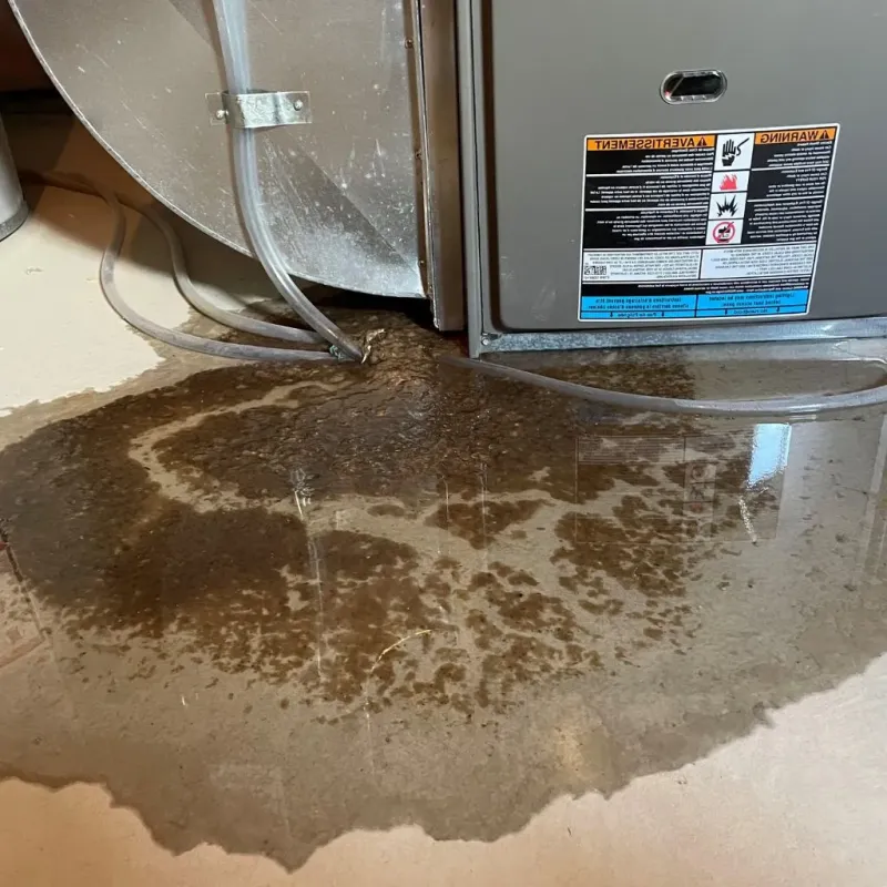 Pipe Burst and Leak Restoration in Zeeland, MI